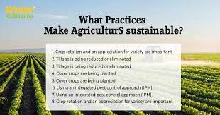 Sustainable Use of Chemicals and Materials in Agriculture Practice .